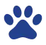 pet clinic icon